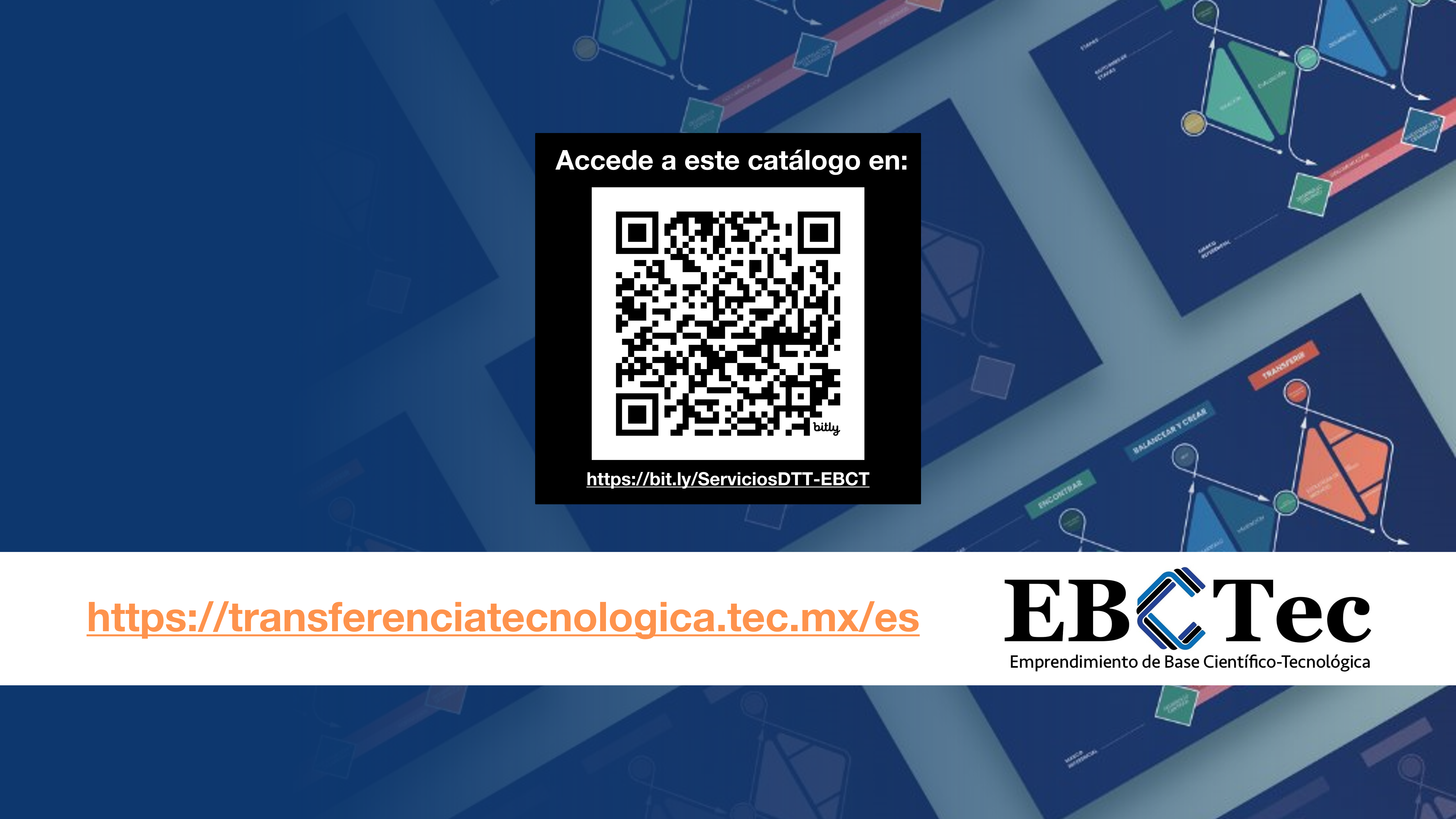 Slide 7